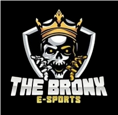 The Bronx ES