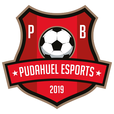 Pudahuel Barrancas eSports