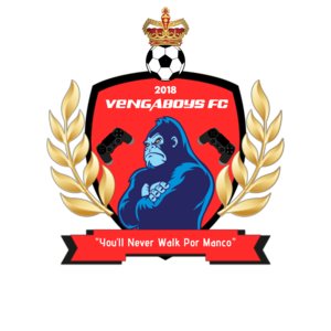 Vengaboys FC