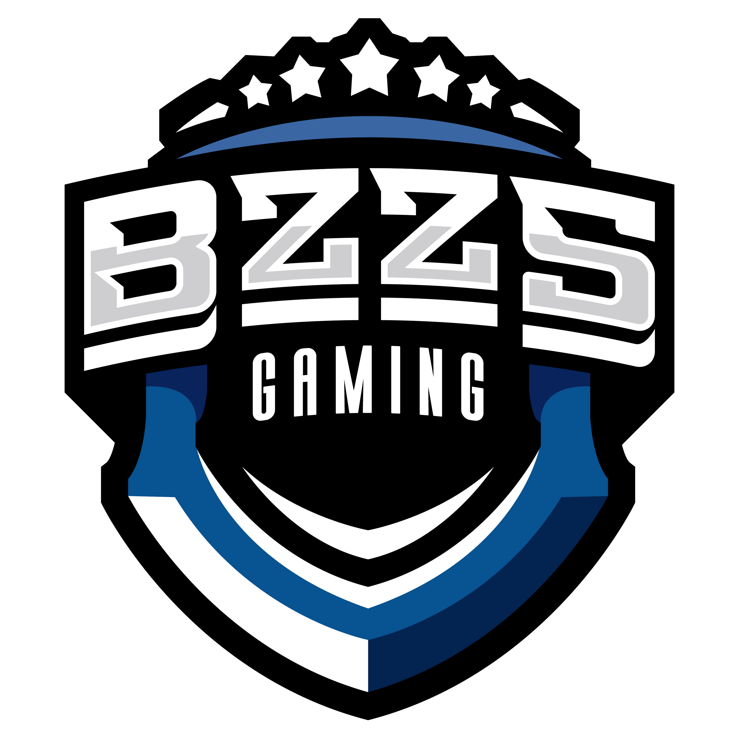 BZZS GAMING