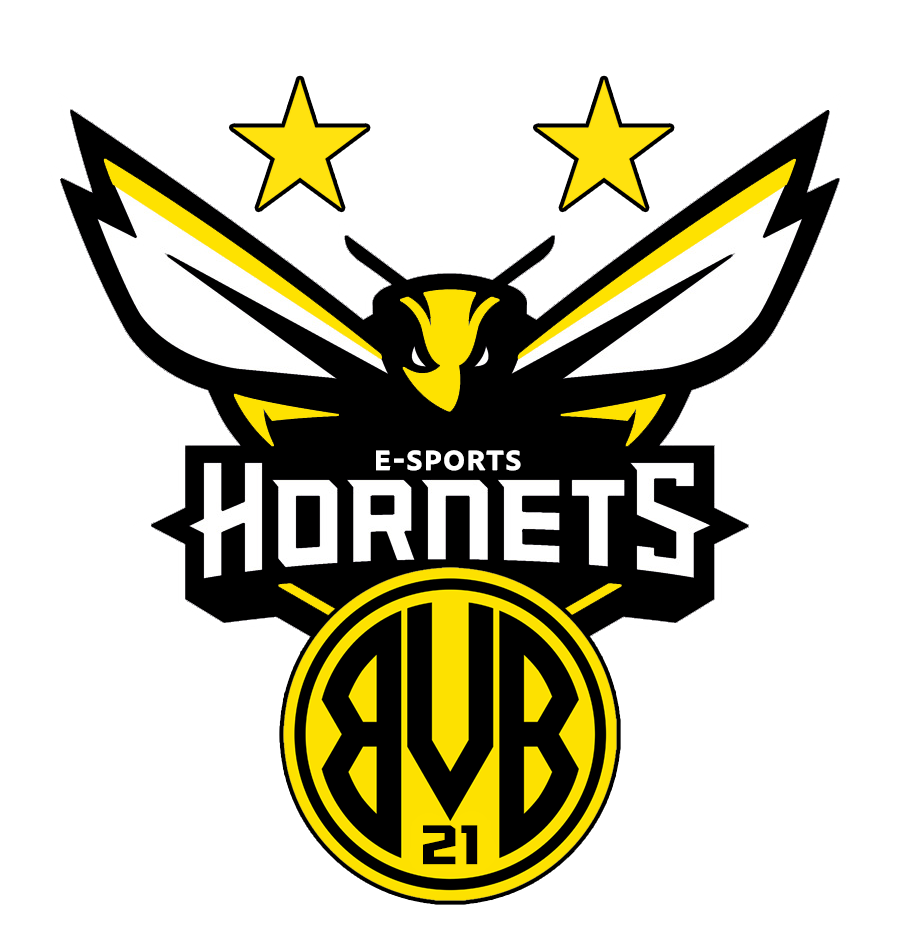 BVB HORNETS