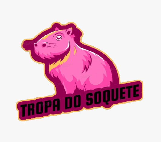 Tropa do Soquete