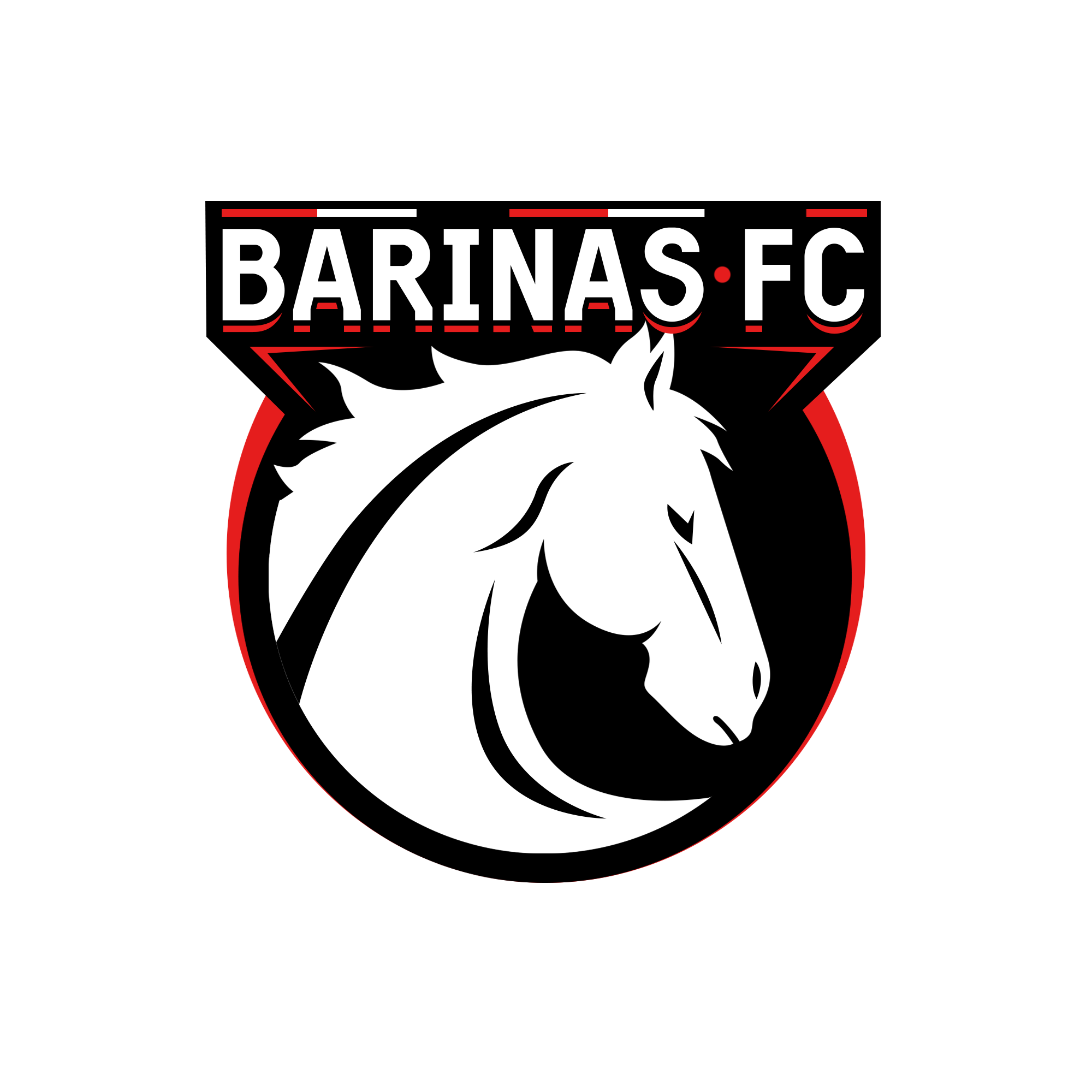 BARINAS FC